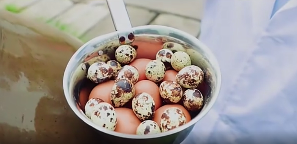 醋蛋液生產(chǎn)工藝